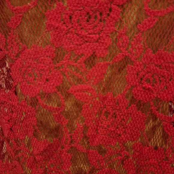 FREE PEOPLE RED LACE DRESS - Picture 10 of 11